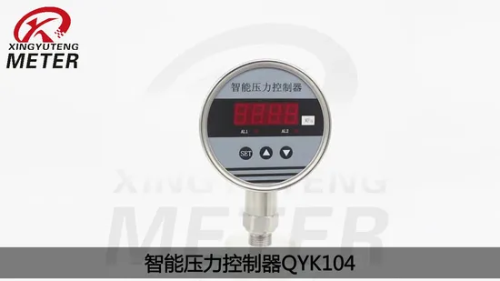 4 Digits LED Display Intelligent Pressure Controller